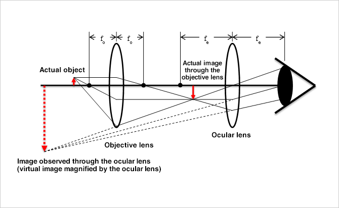 Microscope Principle