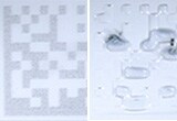 Convention model (Left: Front, Right: Back)
