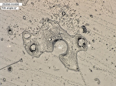 High-magnification observation of foreign particles (1000x)