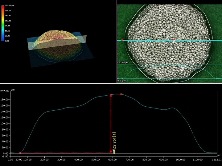 Ring illumination (300x) + 3D measurement and profile measurement in both the upper and lower examples