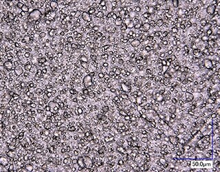 Emulsion observation (1000x)