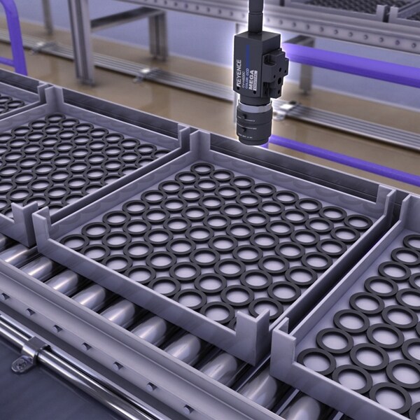 Burr/flaw detection on O-rings
